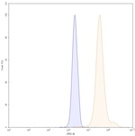 Clervonafusp Alfa Humanized Recombinant Human Monoclonal Antibody