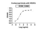 VEGF (Conbercept Biosimilar) Recombinant Human Monoclonal Antibody