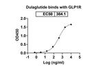 Dulaglutide Humanized Antibody in ELISA (ELISA)