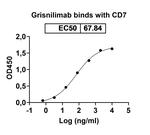 Grisnilimab Recombinant Mouse Monoclonal Antibody