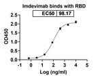 Imdevimab Humanized Antibody in ELISA (ELISA)