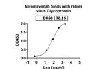Miromavimab Antibody in ELISA (ELISA)