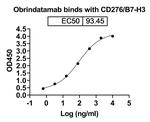 B7-H3/CD3 (Obrindatamab Biosimilar) Antibody in ELISA (ELISA)