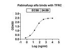 Transferrin Receptor/Iduronate 2 Sulfatase (Pabinafusp Alfa Biosimilar) Recombinant Human Monoclonal Antibody