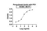 Penpulimab Humanized Recombinant Human Monoclonal Antibody