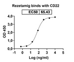 Rezetamig Humanized Recombinant Human Monoclonal Antibody