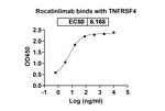 Rocatinlimab Humanized Recombinant Human Monoclonal Antibody