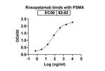 Rosopatamab Humanized Recombinant Human Monoclonal Antibody