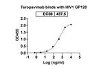 Teropavimab Humanized Recombinant Human Monoclonal Antibody