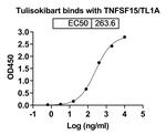 Tulisokibart Humanized Recombinant Human Monoclonal Antibody