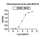 Ubamatamab Humanized Antibody in ELISA (ELISA)