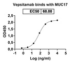MUC17/CD3 (Vepsitamab Biosimilar) Antibody in ELISA (ELISA)