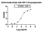HIV1 gp120 (Zinlirvimab Biosimilar) Recombinant Human Monoclonal Antibody