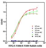 FITC/5-FAM/6-FAM Antibody in ELISA (ELISA)
