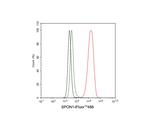 SPON1 Antibody in Flow Cytometry (Flow)