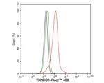 TXNDC9 Antibody in Flow Cytometry (Flow)