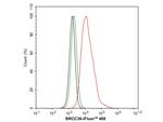 BRCC3 Antibody in Flow Cytometry (Flow)