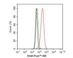 STRA8 Antibody in Flow Cytometry (Flow)