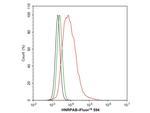 hnRNP AB Antibody in Flow Cytometry (Flow)