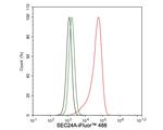 SEC24A Antibody in Flow Cytometry (Flow)