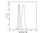 SRF Antibody in Flow Cytometry (Flow)