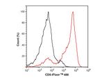 CD5 Antibody in Flow Cytometry (Flow)