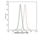 CK2 alpha-1 Antibody in Flow Cytometry (Flow)