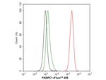 PABP Antibody in Flow Cytometry (Flow)
