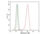 CAD Antibody in Flow Cytometry (Flow)