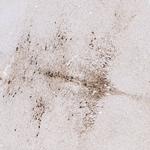 TPH2 Antibody in Immunohistochemistry (Paraffin) (IHC (P))