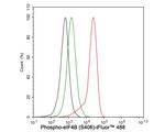 Phospho-eIF4B (Ser406) Antibody in Flow Cytometry (Flow)