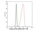 Phospho-eIF4B (Ser406) Antibody in Flow Cytometry (Flow)