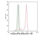 Phospho-eIF4B (Ser406) Antibody in Flow Cytometry (Flow)