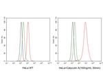 Phospho-RAD17 (Ser656) Antibody in Flow Cytometry (Flow)