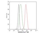 RAD23A Antibody in Flow Cytometry (Flow)