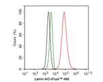 Lamin A/C Antibody in Flow Cytometry (Flow)