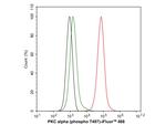 Phospho-PKC alpha (Thr497) Antibody in Flow Cytometry (Flow)