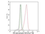 Phospho-PKC alpha (Thr497) Antibody in Flow Cytometry (Flow)