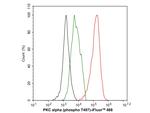 Phospho-PKC alpha (Thr497) Antibody in Flow Cytometry (Flow)
