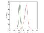 DLX3 Antibody in Flow Cytometry (Flow)