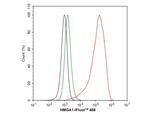 HMGA1 Antibody in Flow Cytometry (Flow)