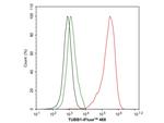 TUBB1 Antibody in Flow Cytometry (Flow)