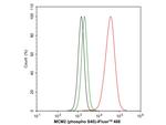 Phospho-MCM2 (Ser40) Antibody in Flow Cytometry (Flow)
