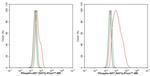 Phospho-AKT1/AKT2/AKT3 (Ser473) Antibody in Flow Cytometry (Flow)
