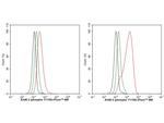 Phospho-ErbB2 (HER-2) (Tyr1139) Antibody in Flow Cytometry (Flow)