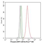 Phospho-DNM1L (Ser616) Antibody in Flow Cytometry (Flow)