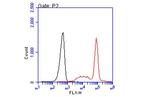 HLA-A2 Antibody in Flow Cytometry (Flow)