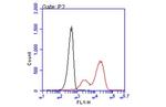 HLA-B7 Antibody in Flow Cytometry (Flow)