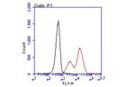 HLA-B7 Recombinant Mouse Monoclonal Antibody (BB7.1)