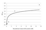 IGF2 Antibody in ELISA (ELISA)